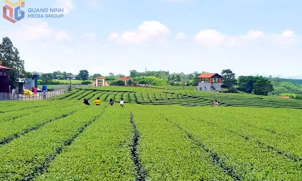 Đường Hoa xây dựng sản phẩm du lịch đặc trưng 