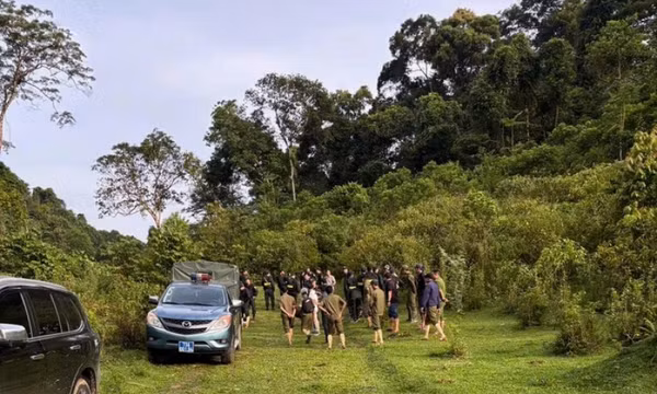 Tìm thấy nghi phạm giết vợ cũ, đã chết trong tư thế treo cổ trong rừng