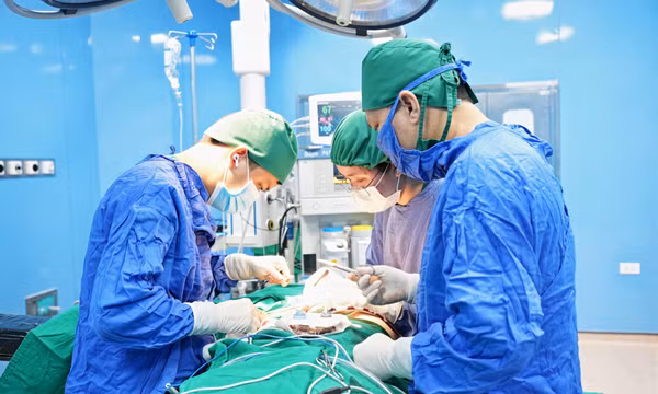 Phát hiện sớm ung thư qua tầm soát định kỳ