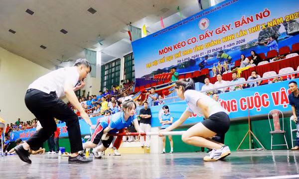 Đại hội TDTT tỉnh năm 2026: Khai mạc Giải bắn nỏ, đẩy gậy, kéo co 