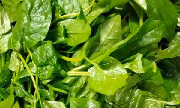 Những loại rau ăn buổi tối giúp an thần ngủ ngon