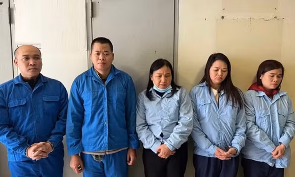 Nhận hối lộ cấp phép hành nghề y, dược, nhóm cựu cán bộ hầu tòa