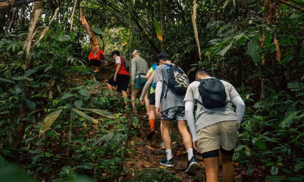Tạm dừng hoạt động leo núi tuyến 3 đỉnh Tam Đảo