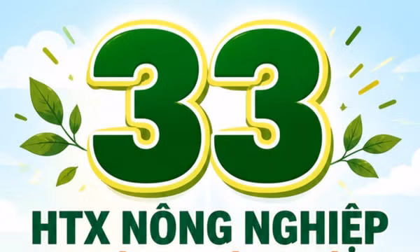 33 - là số HTX nông nghiệp thành lập mới trên toàn tỉnh từ đầu năm đến nay