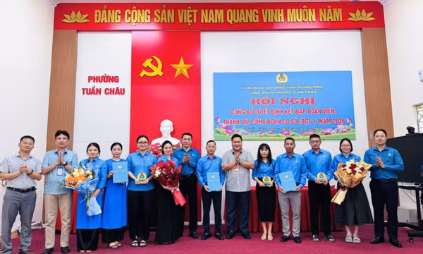 Công đoàn phường Tuần Châu: Thành lập 3 công đoàn cơ sở