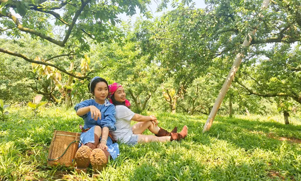 Rong ruổi trên cao nguyên Mộc Châu 