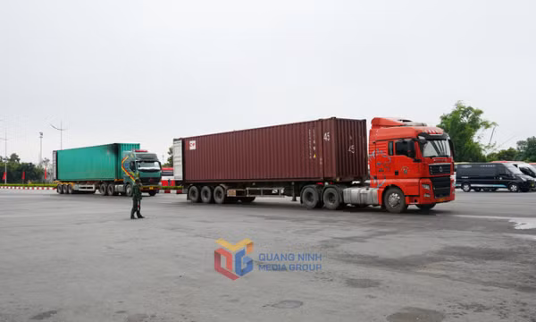 Giữ nhịp thông quan xuất nhập khẩu trong dịp lễ