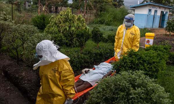 WHO nâng cảnh báo Ebola tại Congo lên mức “rất cao”