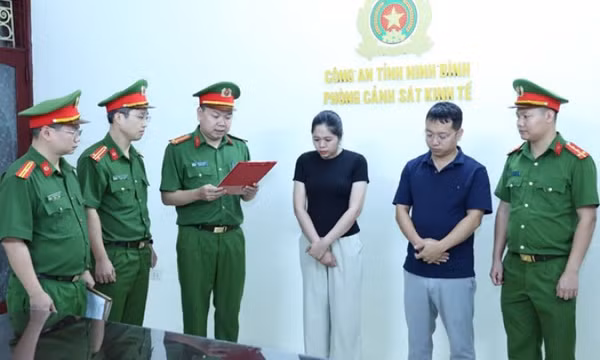 Dàn xếp kết quả đấu giá 14 lô đất, 2 bị can bị khởi tố ở Ninh Bình