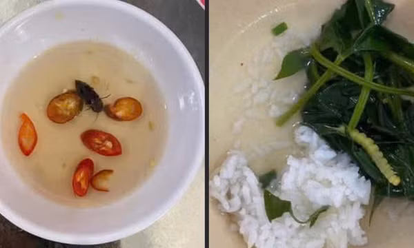 Vụ bữa ăn tập thể của sinh viên Đại học Huế nghi có gián, dòi và sâu: Cơ sở nấu ăn xin lỗi