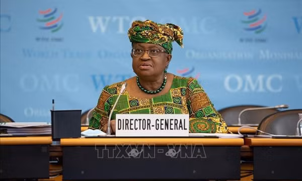 WTO cảnh báo nhiều nền kinh tế lớn có nguy cơ rơi vào suy thoái