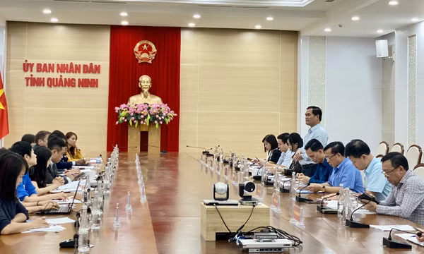 UBND tỉnh làm việc với VCCI về các giải pháp phát triển kinh tế gắn với bảo vệ môi trường