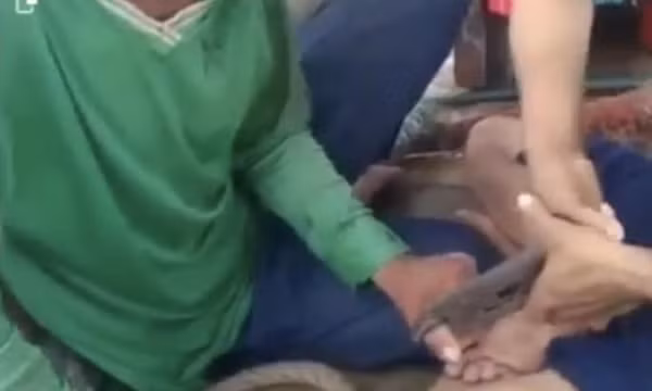 Tạm giữ khẩn cấp các bị can hành hạ ngư dân trên tàu khai thác thủy sản ở Cà Mau