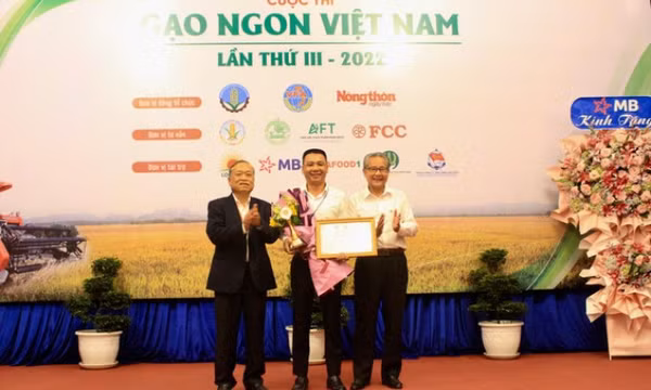Gạo ST25 mất ngôi số 1 Việt Nam