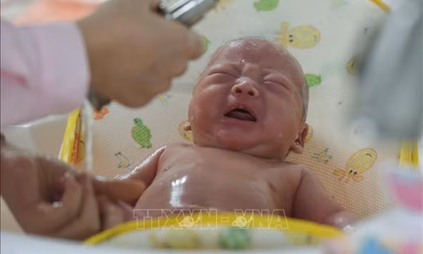 Thế giới sẽ thay đổi thế nào khi vượt mốc dân số 8 tỷ người?