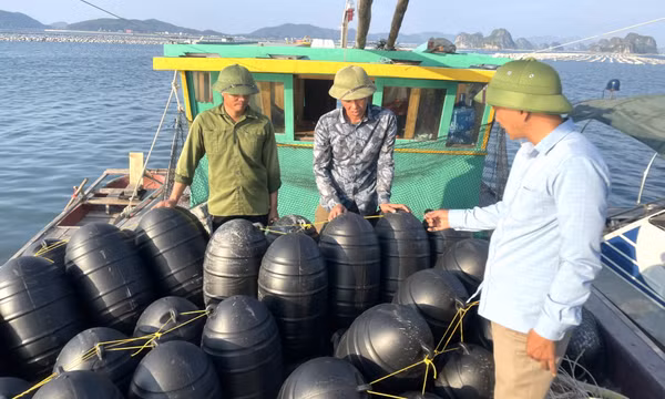Khó khăn trong chuyển đổi phao xốp