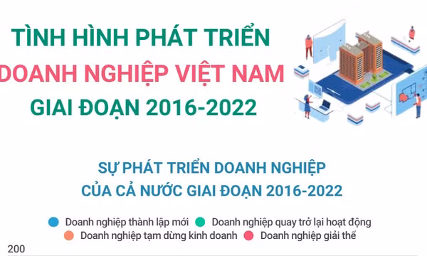Tình hình phát triển doanh nghiệp Việt Nam giai đoạn 2016-2022