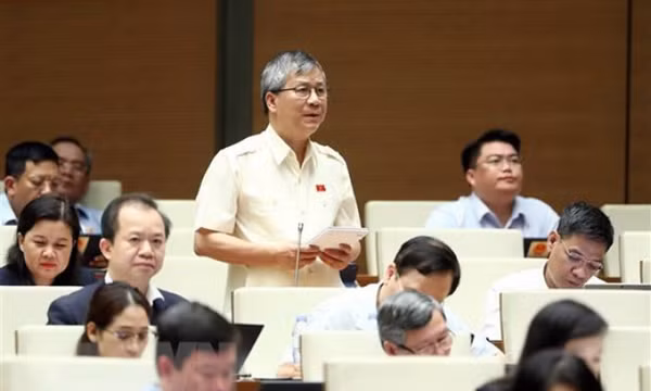 Đại biểu Quốc hội: Kịp thời xử lý các vi phạm ở lĩnh vực chứng khoán