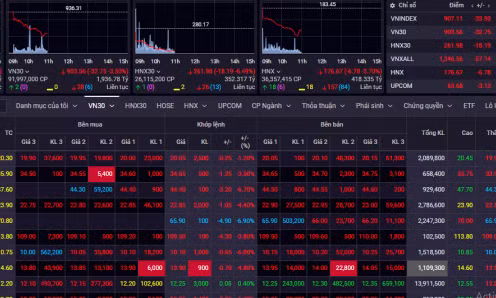 Cổ phiếu lại bị bán tháo, VN-Index giảm gần 30 điểm, về gần mốc 900