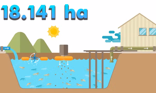 18.141 ha - là diện tích nuôi nước lợ của tỉnh Quảng Ninh hiện nay