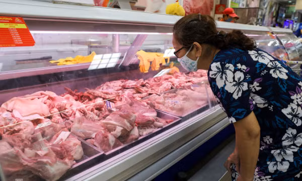 Giá thịt heo cuối năm dự kiến tăng cao nhất 15%