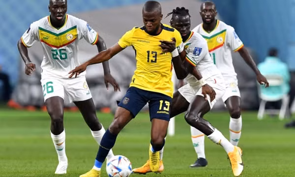 Senegal loại Ecuador khỏi World Cup