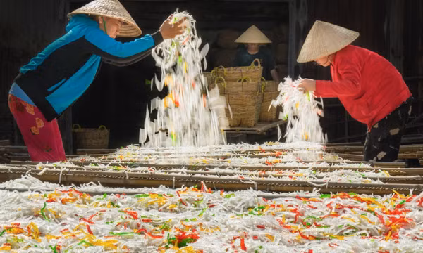 Làng nghề làm bột khoai rực rỡ sắc màu