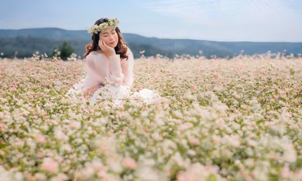 Cánh đồng tam giác mạch mênh mông xuất hiện ở Đà Lạt, du khách ngỡ lạc bước đến Hà Giang