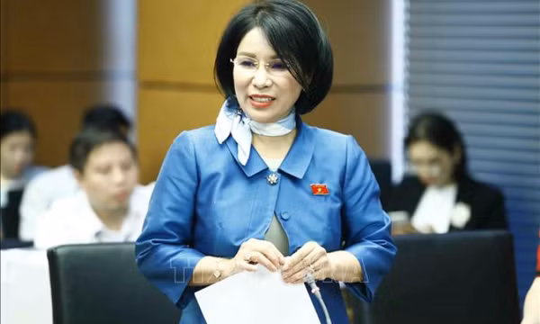 Sửa đổi Luật Giá phải lưu ý giá trần và giá sàn, tránh 'viên thuốc rẻ hơn viên gạch'