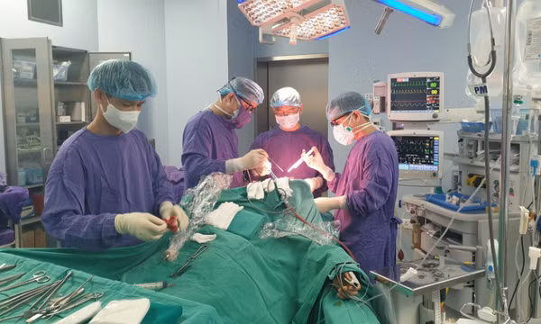 Chảy máu não: Biến chứng nguy hiểm do sốt xuất huyết
