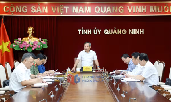 Họp Thường trực Ban Chỉ đạo phòng, chống tham nhũng, lãng phí, tiêu cực tỉnh
