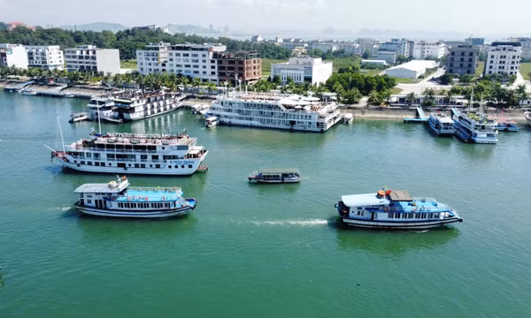 Bản tin Quảng Ninh ngày 24/8/2025