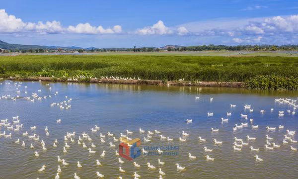 Bình yên đảo Hà Nam
