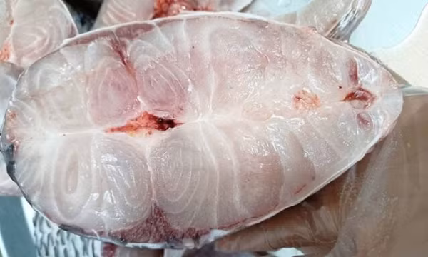 Mẹo ăn hải sản không lo tăng axit uric