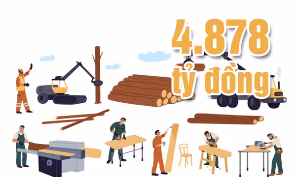 4.878 tỷ đồng - là tổng giá trị sản xuất lâm nghiệp tỉnh Quảng Ninh giai đoạn 2020-2024