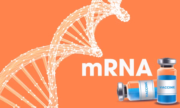 Mỹ từ bỏ phát triển vắc xin mRNA, chuyện gì xảy ra?