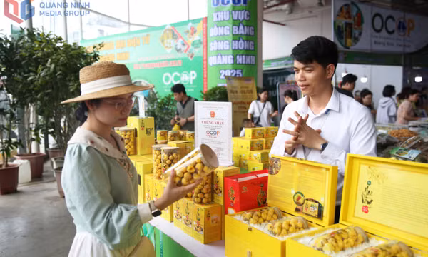 Bản tin Quảng Ninh ngày 1/8/2025