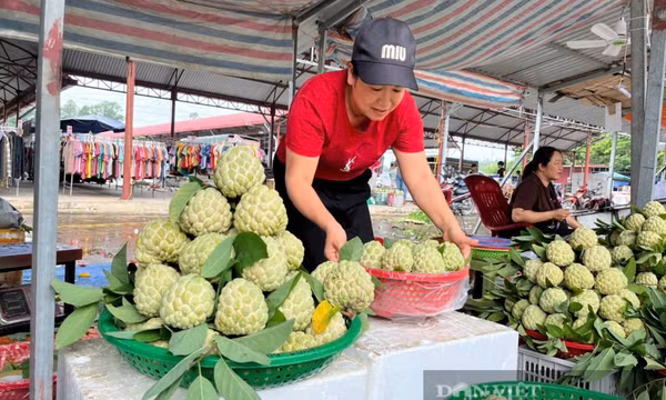 Bản tin vùng Đông Bắc ngày 10/8/2025