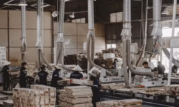 Ngành gỗ chủ động ứng phó phòng vệ thương mại