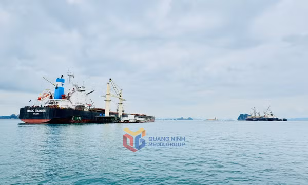 Gia tăng giá trị cảng Con Ong - Hòn Nét