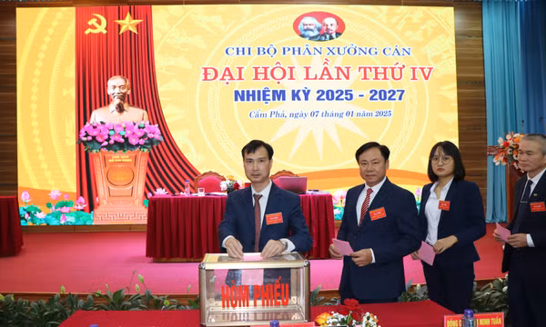 Xây dựng chi bộ vững mạnh, góp phần xây dựng Đảng bộ vững mạnh toàn diện