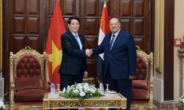 Chủ tịch nước Lương Cường hội kiến Chủ tịch Thượng viện Ai Cập Abdel-Wahab Abdel-Razeq