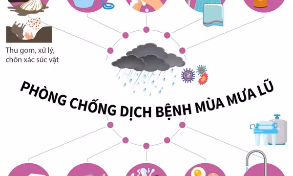 Những bệnh thường gặp sau mùa mưa lũ