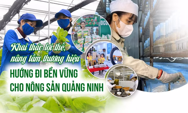 Hướng đi bền vững cho nông sản Quảng Ninh