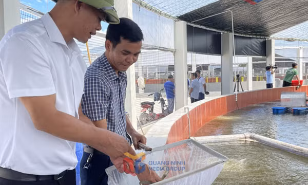 Chuyển đổi số trong công tác khuyến nông