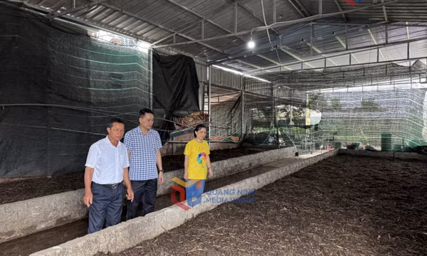 Lan tỏa tinh thần đoàn kết cộng đồng