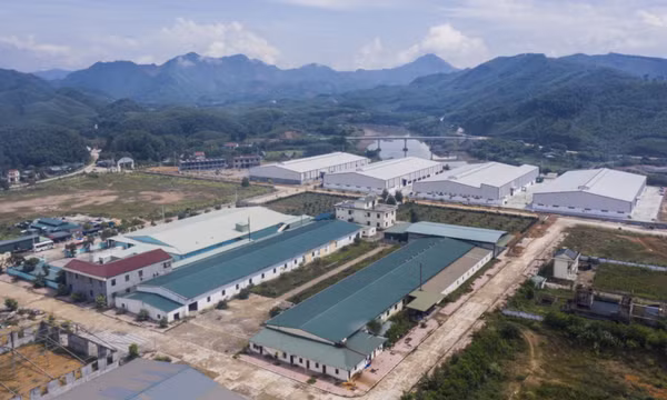 Ba Chẽ: Phát triển kinh tế, giảm nghèo, làm giàu bền vững