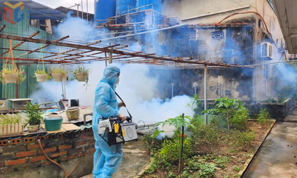 Chủ động phòng, chống bệnh Chikungunya