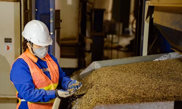 Giá cà-phê Việt Nam đạt mức cao tại thị trường Nhật Bản
