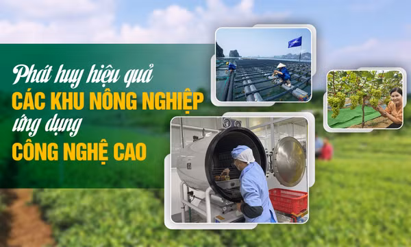 Phát huy hiệu quả các khu nông nghiệp ứng dụng công nghệ cao